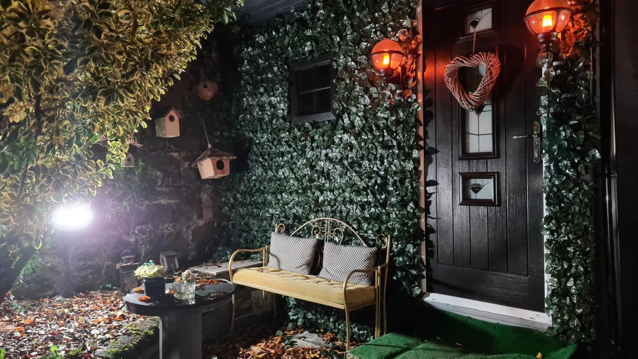 Belfast Cosy Cabin Zewnętrze zdjęcie